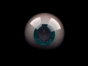 3D Eyeball Animation