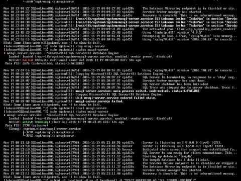 Run and Connect to MS SQL Server on Linux Step by Step tutorial