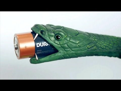 SNAKE EATS BATTERY!