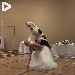 The perfect wedding dance doesn't exi-... 😍🙌 Dogtooth Media | IGV
