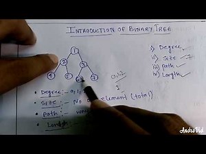 Introduction of Binary Tree: Degree, Size, Path, Length
