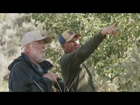 Where the Water Returns: Rebuilding a Creek, One BDA at a Time