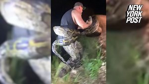 18.9-foot Burmese python caught in Florida Everglades sets record