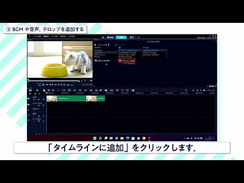 動画編集手順のご紹介(Corel Video Studio Pro篇)
