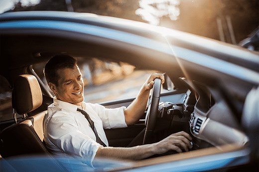 Custom Auto Pinstriping Designs for Cars | Tint World