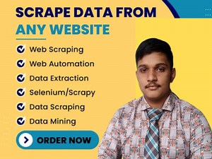 Python Data Mining/Extraction/ Web scraping from any source in Excel/CSV