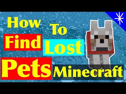 Get your pet BACK on Minecraft!