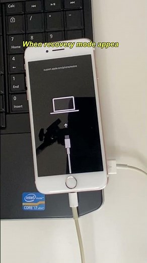 How to Reset Any iPhone Using iTunes