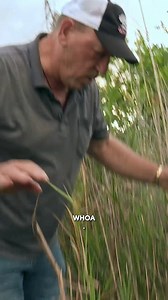 Pickle catches a MEAN python. 🐍 | Swamp People on History