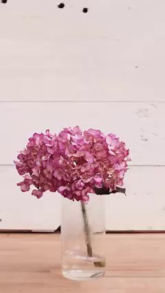 3.7K views · 56 reactions | when being in hot water has the opposite...