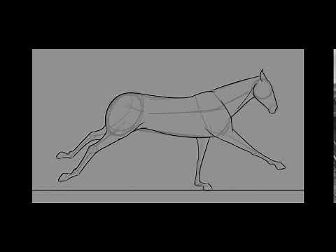 Horse Run Cycle | 2D Animation