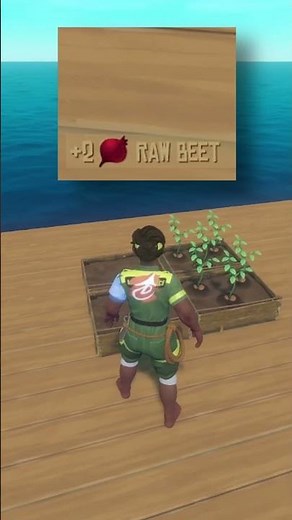 101 Raft Tips: #88: Seeds