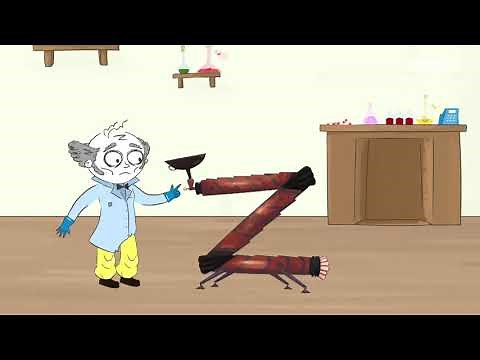 LE SON [ z ] en français 2/2. Les graphies complexes #coliglote