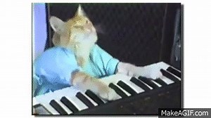 Keyboard Cat...EXPLODING!!!! on Make a GIF
