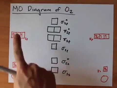 Molecular Orbital Diagram of O2