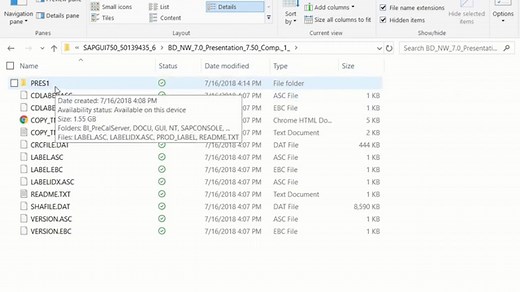 SAP GUI Installation Steps [version 750]