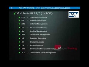 SAP - What is SAP?