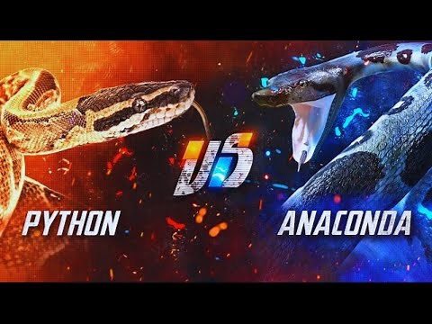 Python vs Anaconda – The Deadliest Snake Face-Off!