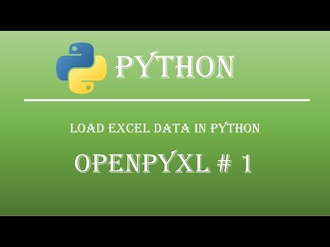 Loading Excel Data in Python: Step-by-Step Guide Openpyxl tutorial # 1