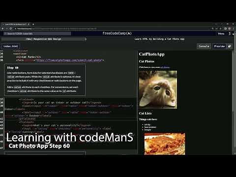 Learn HTML by Building a Cat Photo App - Step 60