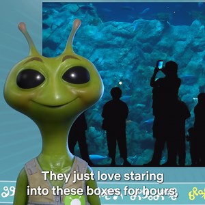 If you’re like me you’ll be quietly giggling away while the aliens try to make sense of humans and their hobbies… oh and the kids seem to be mesmerised by this whacky show too. 📺 Alien TV S1 & 2 are streaming in Australia and NZ. | Netflix