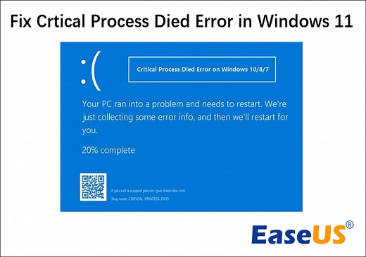 Fix Critical Process Died Error in Windows 11 [Best Guide]