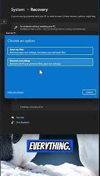Factory RESET Windows 11 on PC
