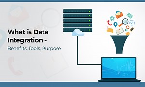 What is Data Integration