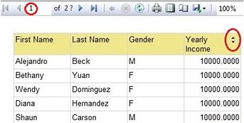 Interactive Sorting for a SSRS Report