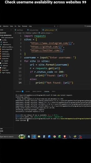 Check Username Availability Across Websites Using Python 😳