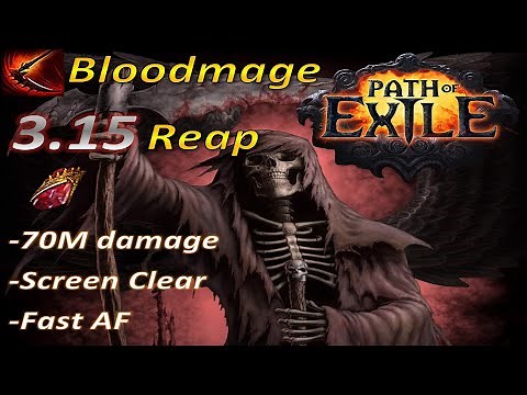 [3.15] 70M Damage Bloodmage build (OMG Speed) - Path of Exile Expedition