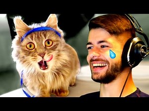 ILS VONT CONQUÉRIR LE MONDE