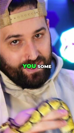 Ranking Ball Python Myths: Harmless to Deadly Dangers #shorts