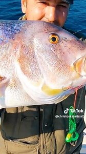 33K views · 105 reactions |  | Fishing In Greece | Facebook