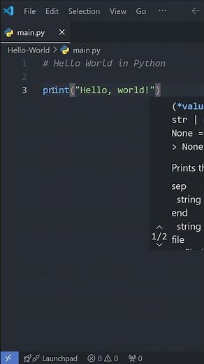 Python Basics: Your FIRST Program in Under a Minute! 🚀