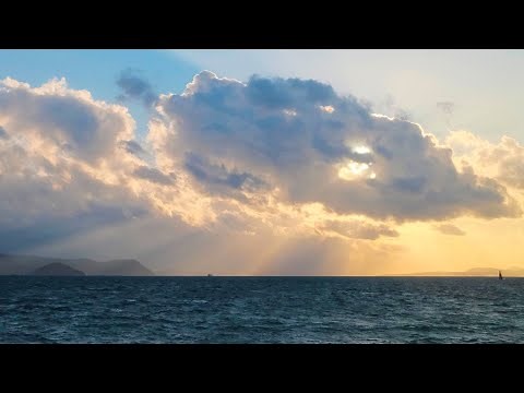 2025 — Year in Search