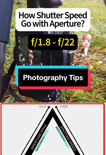 Understanding Shutter Speed and Aperture in Photography