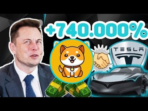 MELEDDAK !! Terimakasih BABY DOGE