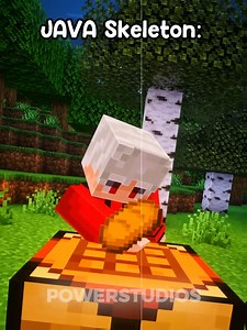 Java Skeleton vs Bedrock Skeleton | Highlight Gaming
