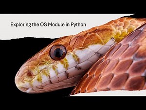 Exploring the OS Module in Python
