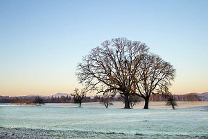 LSTMs for Human Activity Recognition Time Series Classification - MachineLearningMastery.com