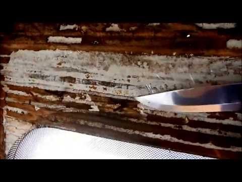 How to Repair major damp in your Motorhome/Camper van