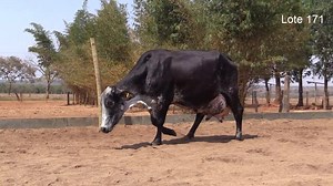 440K views · 5.5K reactions | Liquidação Total Virtual JP...