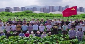 Caffeine Addict? Java Junkie? Here's A University Degree Ideal For You