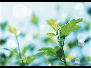 Adobe InDesign 使い方講座 6巻 1章「ツールボックス」編