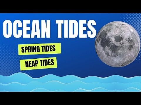 What Causes Ocean Tides? [Low Tide, High Tide, First Tide, Second Tide, Spring Tides, Neap Tides]