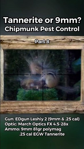 7.62 vs Chipmunk... overkill?