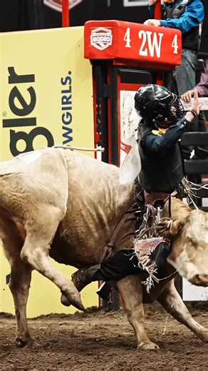 HANGING HORSES on Instagram: "It’s buckin’ cow time at the CFR — 🤠 COWBOYS & CONTRACTORS: Tag yourselves or DM for credit — pinned comment goes to you. 💬 Conversation encouraged! 🚫 Leave a dick comment? Blocked faster than an open gate. Thx. 🐎 No animals harmed. All riders and livestock are professionals. 📌 Reposts require explicit credit. Shares are welcome. Artists may use these as reference material. 🎥 Captured, not generated. Shot on location, not in a server farm. #rodeo #rodeovideogr