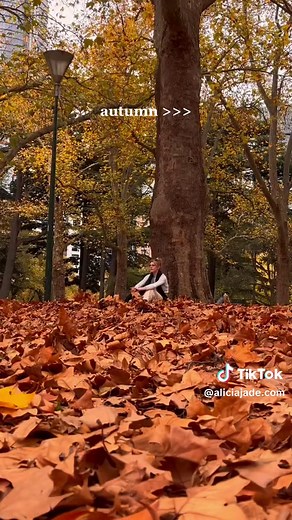 its such a beautiful time of the year, i want to live in autumn forever 🍂 #autumn #fall #aesthetic #cozy