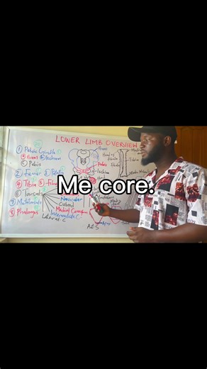 Tibia Anatomy Tutorials: Mastering the Trenches